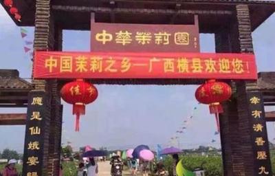 廣西南寧橫縣電子商務(wù)一箭多雕,茉莉花茶進(jìn)入電商跑道